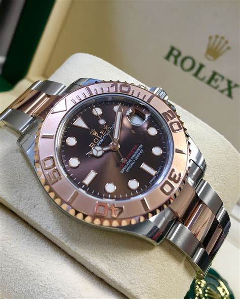 rolex yacht master 37 everose|rolex yacht master everose gold.